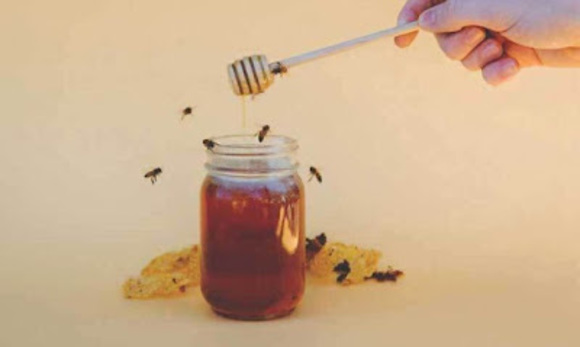 Meet your Posher, Heather - Picture 1 of 1